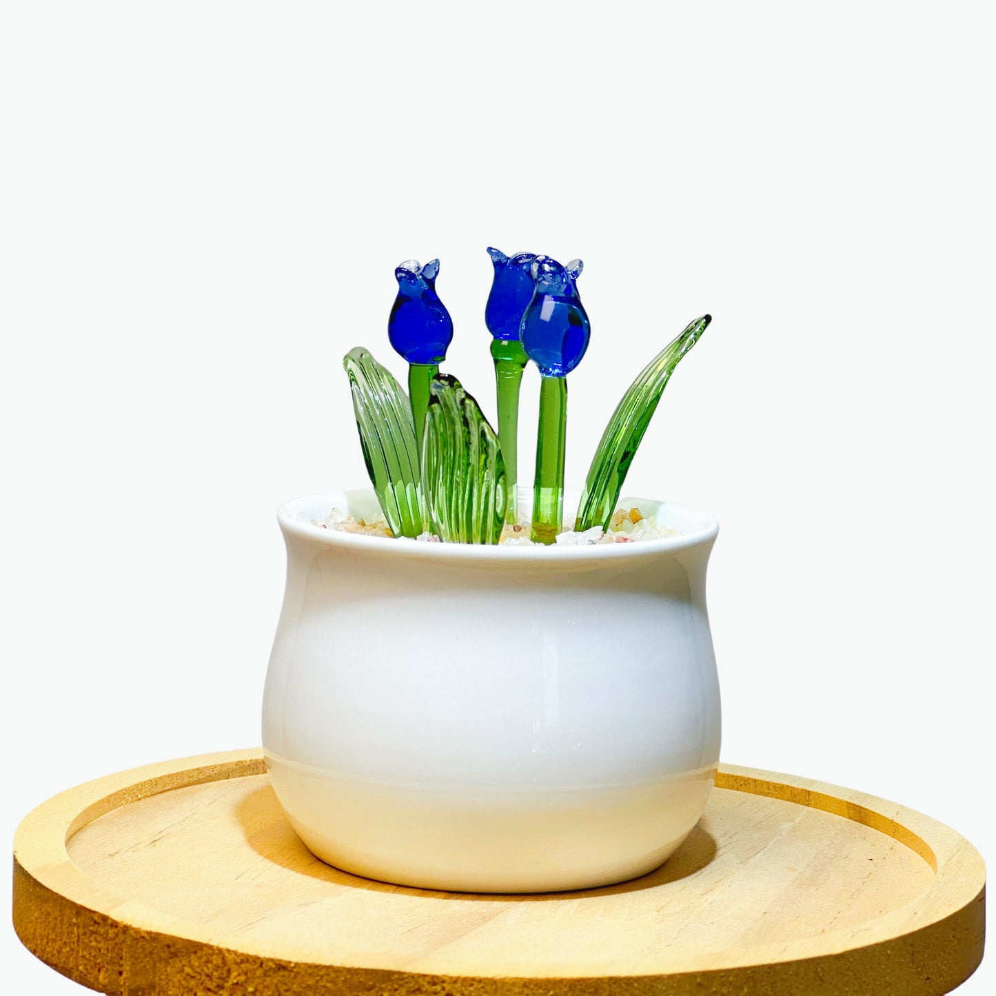 Handmade Glass Potted Plant Decor